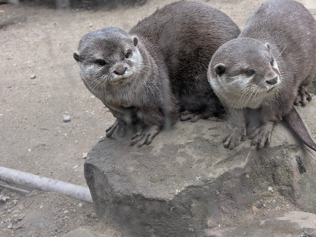 Ponderosa Zoo-Heckmondwike必去景点