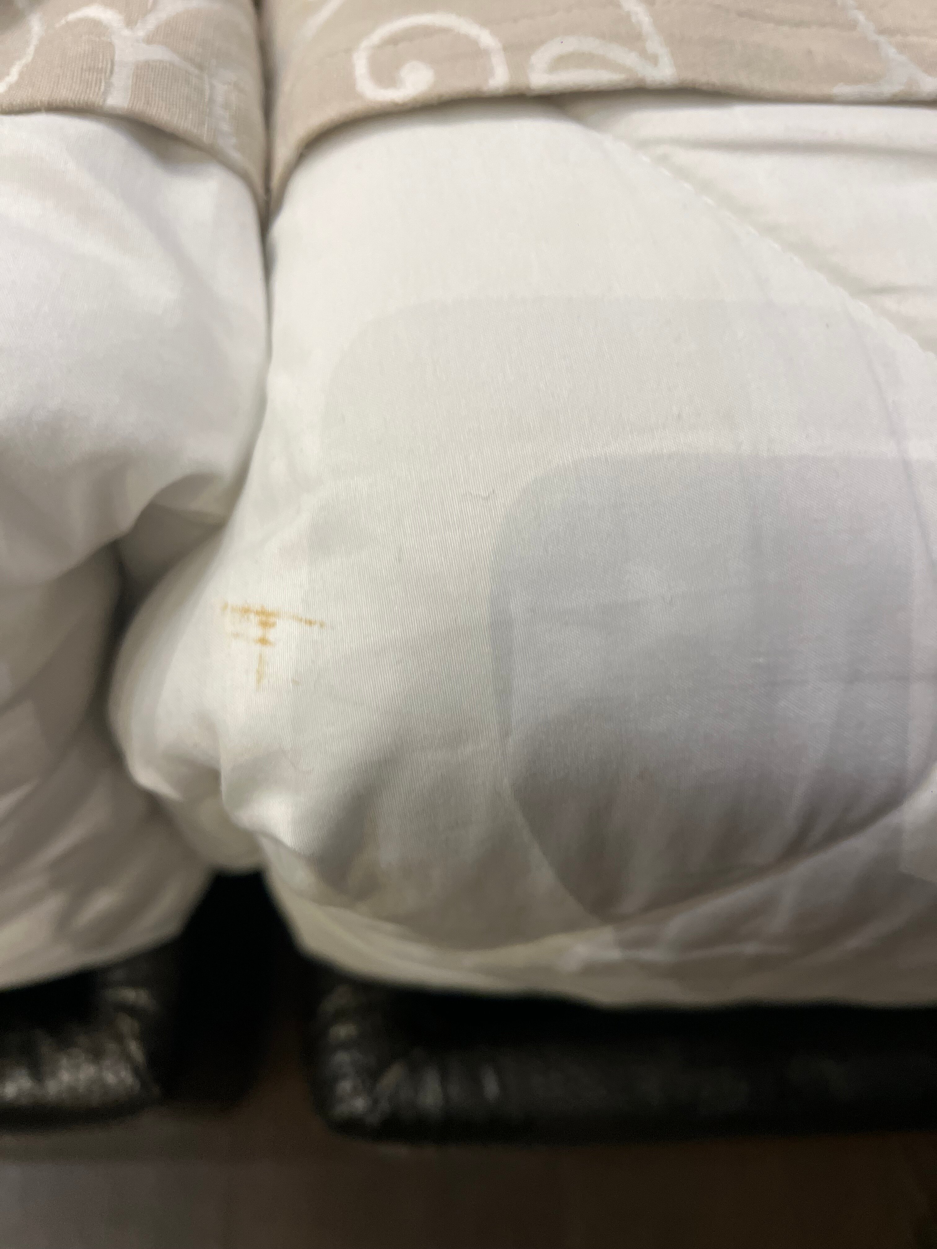 Gallery Art Hotel-官方