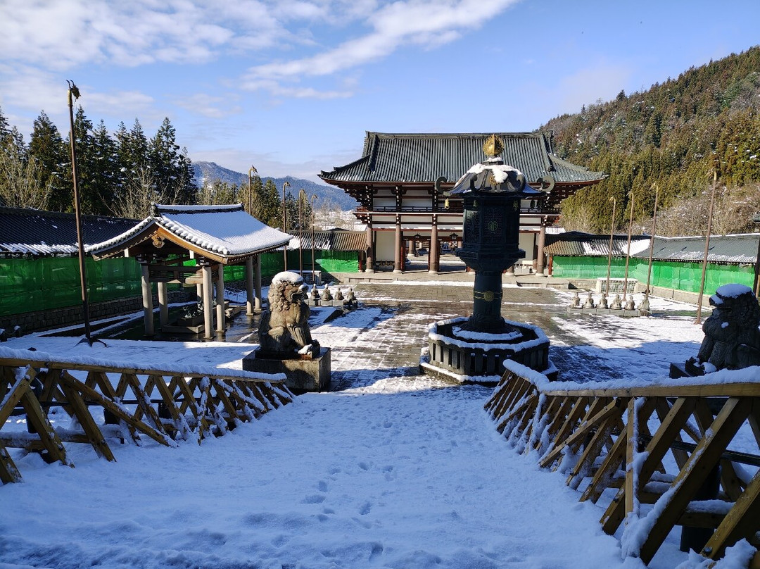 Echizen Daibutsu-胜山市必去景点