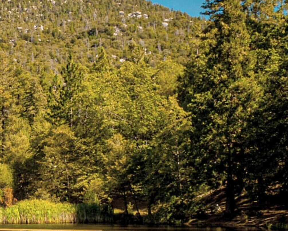 Lake Fulmor-Idyllwild必去景点