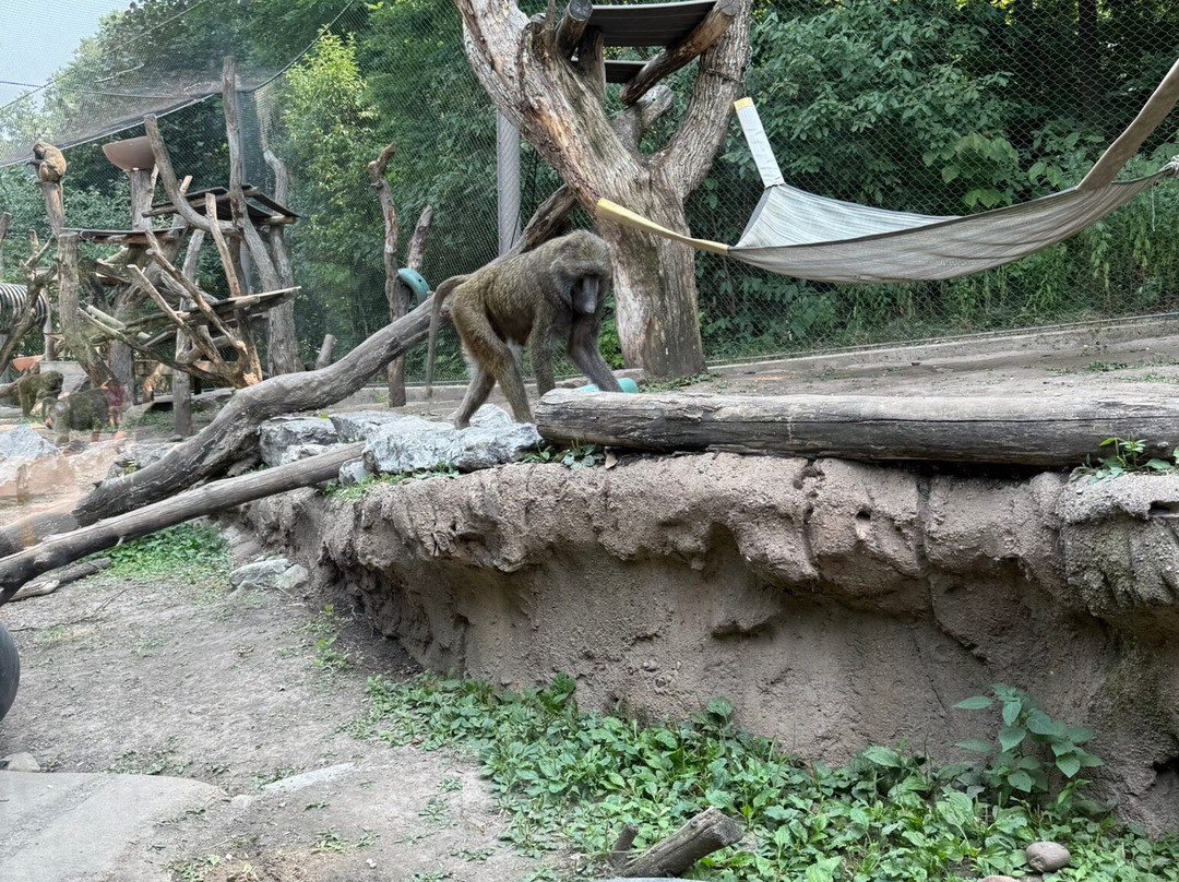 Seneca Park Zoo-罗切斯特必去景点