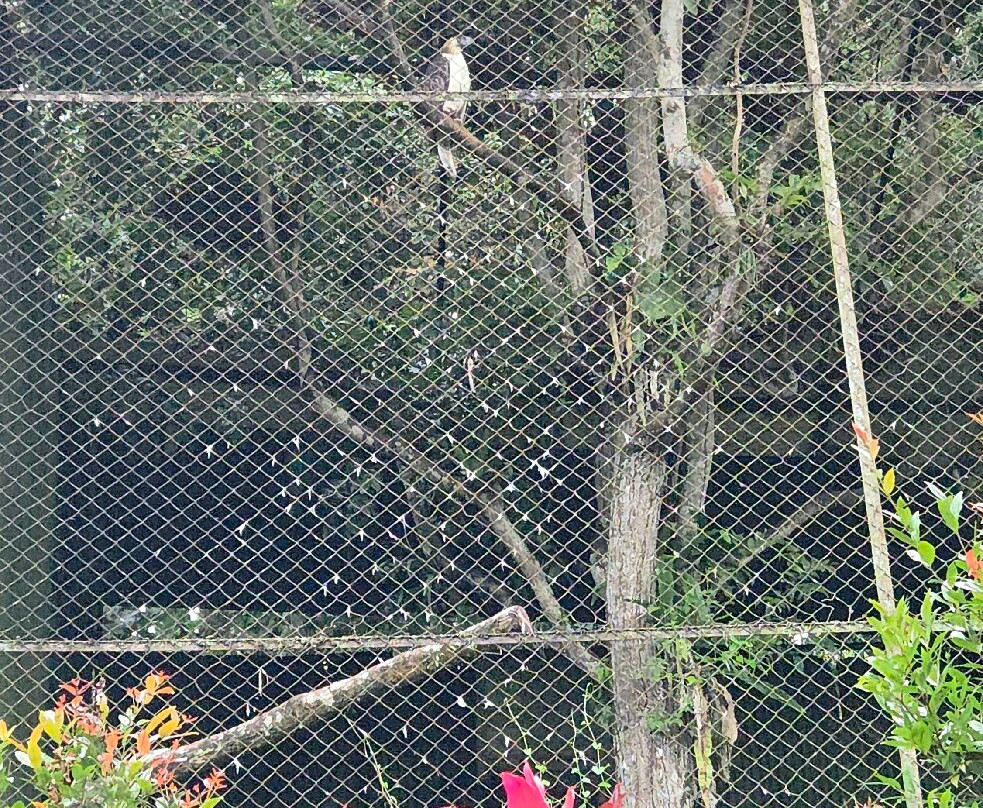 Philippine Eagle Center-达沃必去景点