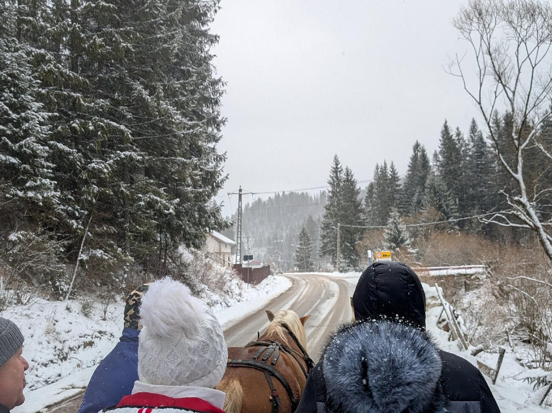 Pensiunea Casa Motului主图