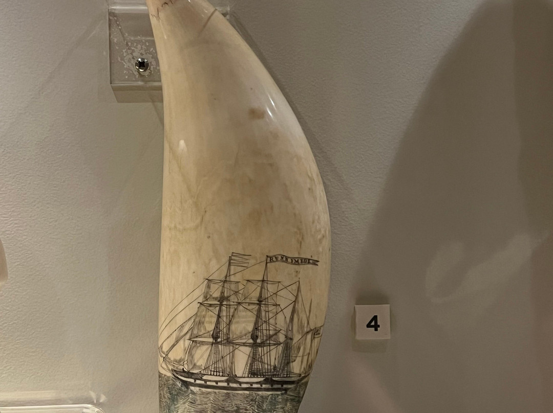 Runnymede-霍巴特必去景点