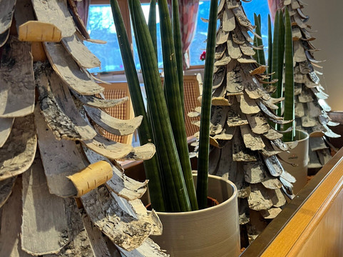 Hotel Tyrol am Wilden Kaiser主图