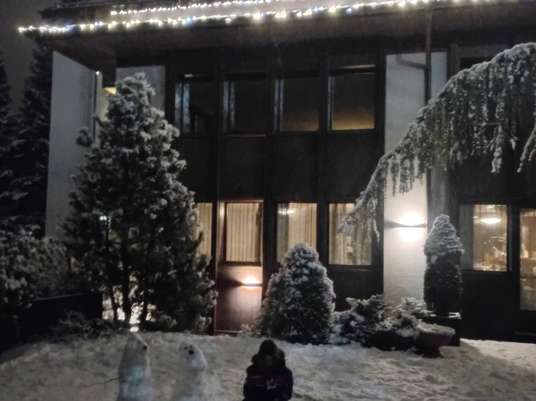 Hotel Caminetto主图