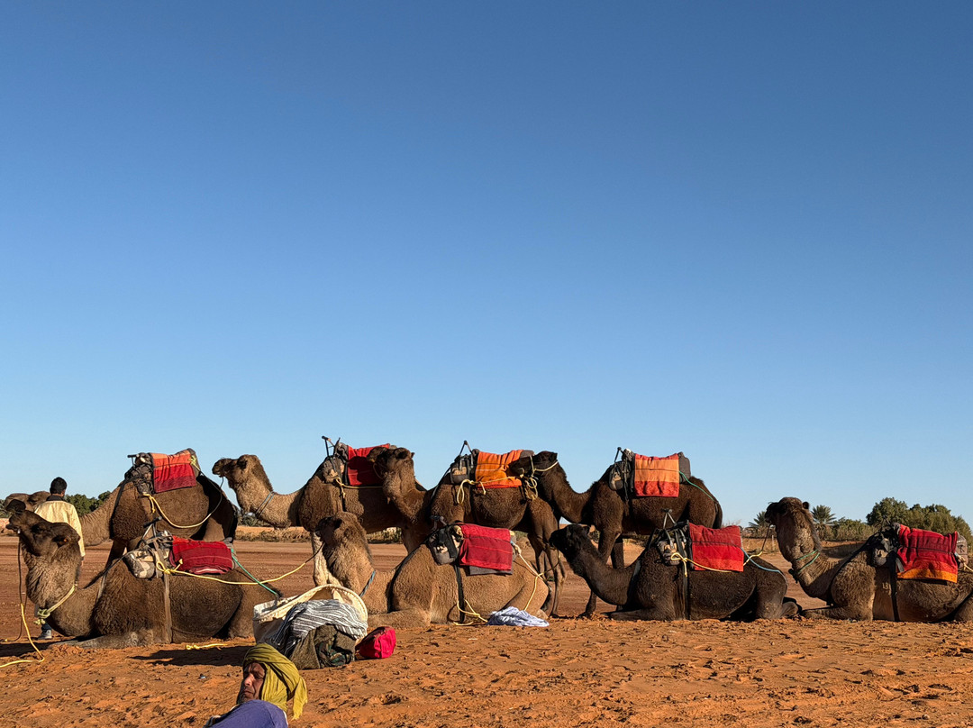 Travel Exploration Morocco Private Tours-瓦尔扎扎特必去景点