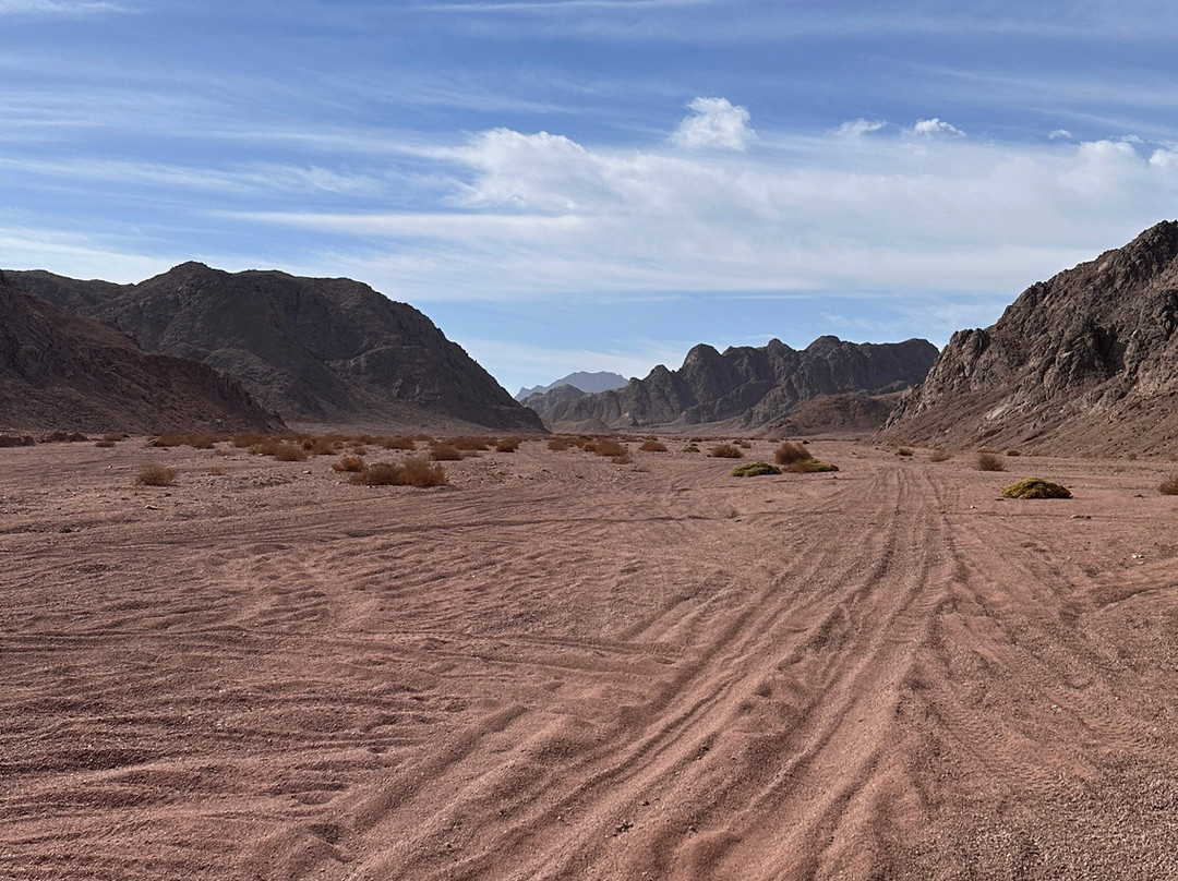 Chill Tours-Port Safaga必去景点