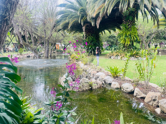 Uzhupud Garden Hotel主图