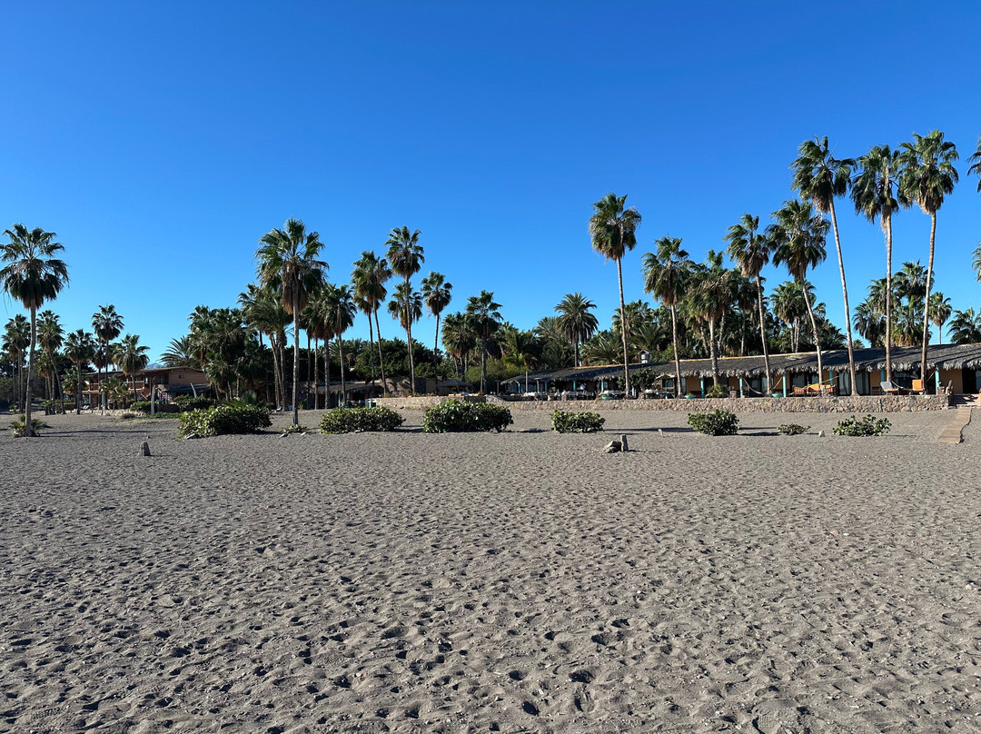 Hotel Oasis Loreto主图