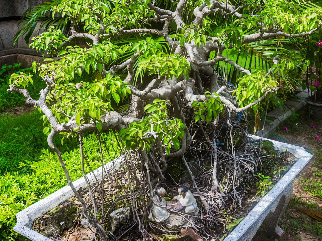 Thap Doi (Twin Towers)-归仁必去景点