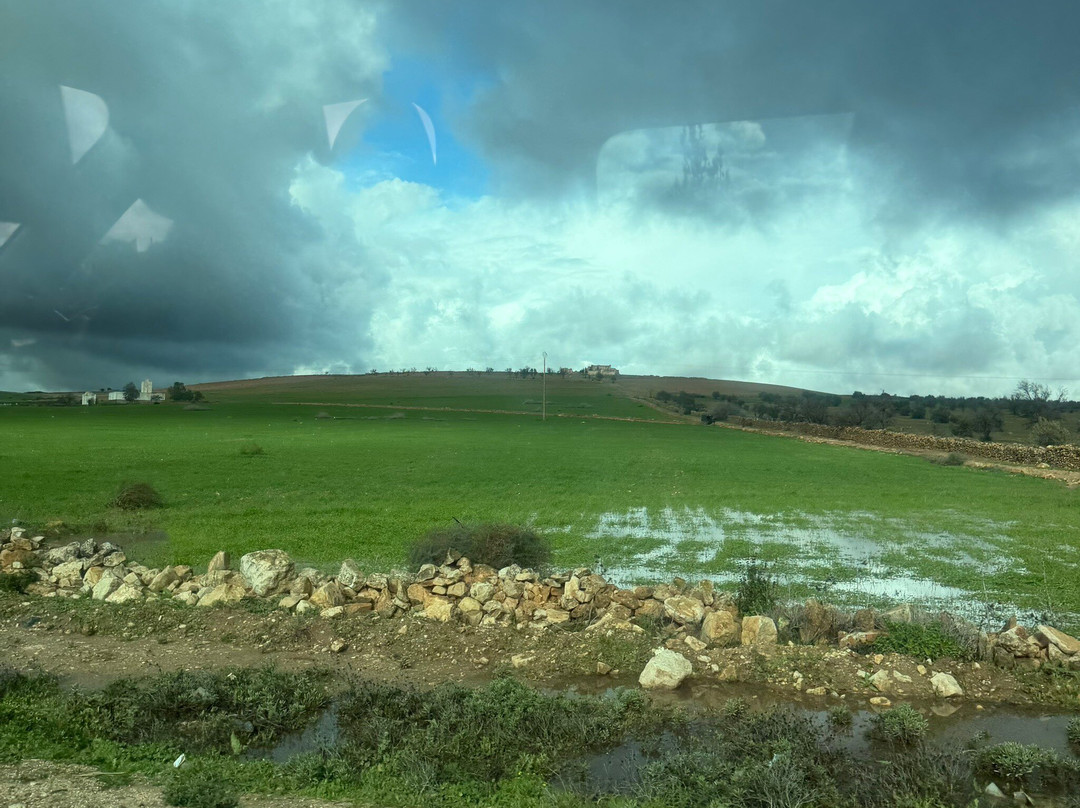Fez City Tour-非斯必去景点
