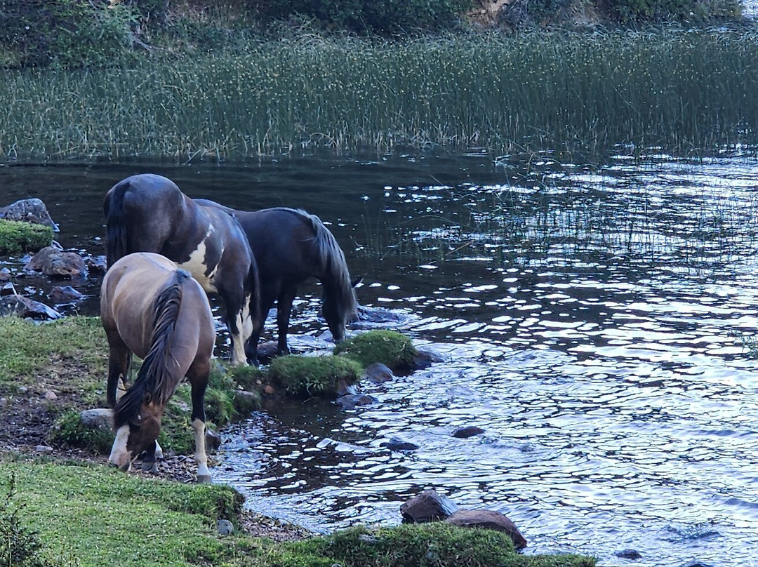 Carretera Austral Expediciones-Rio Ibanez必去景点