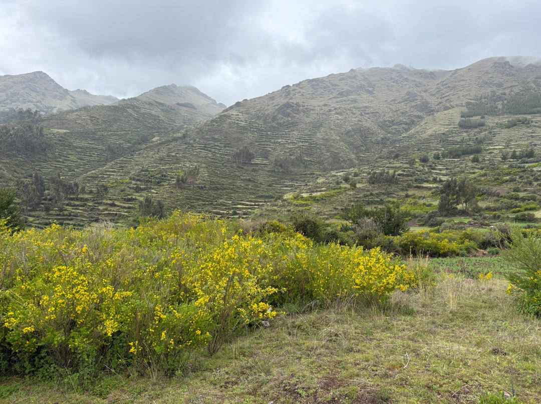 Vamos Expeditions-利马必去景点