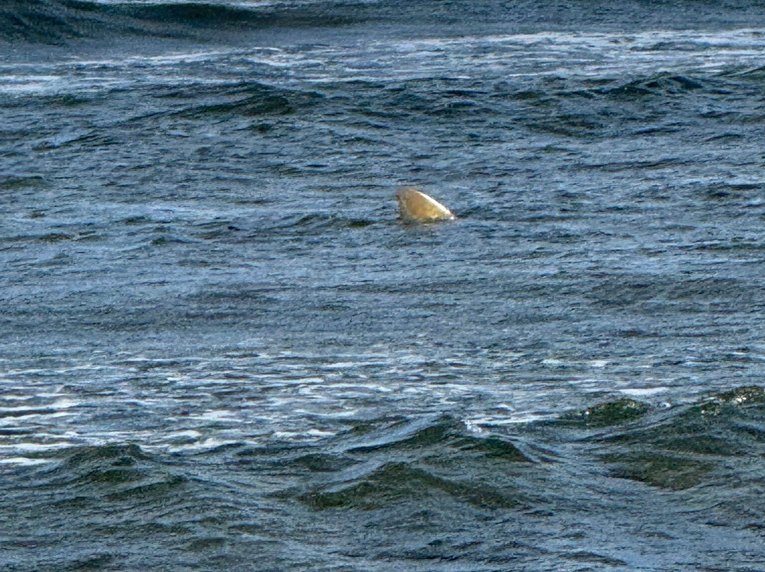 Explore Cape Verde-圣塔玛丽亚必去景点