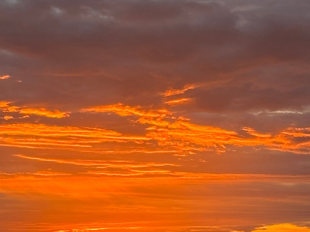 Além Das Trilhas-Londrina必去景点