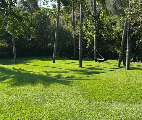 Huayacán Cuernavaca Curamoria Collection主图