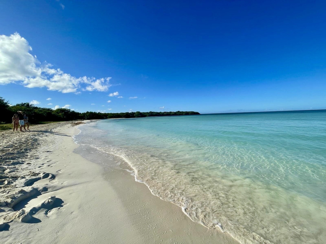 Tamarindo Residence
