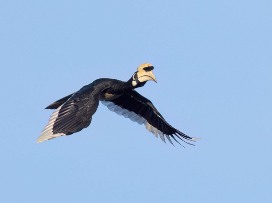 Vietnature Tour (cattien Wild Tour)-Tan Phu District必去景点