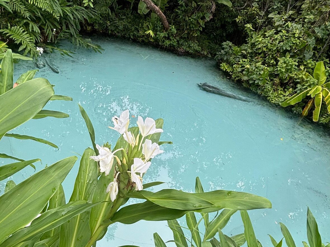 Jalatravel Ecoturismo-Palmas必去景点