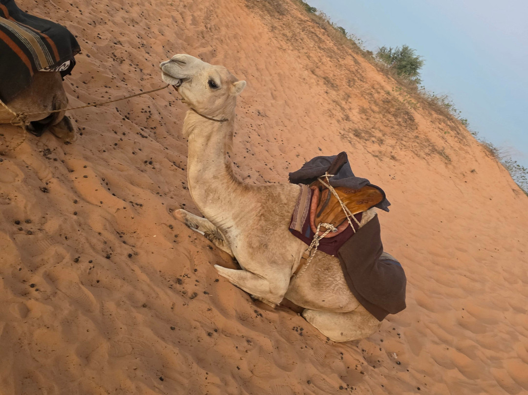 Kali Excursions Sénégal-索蒙必去景点