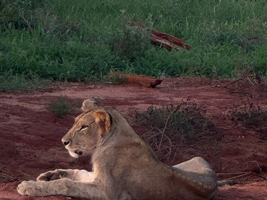 Juma Safari Kenya-瓦塔木必去景点