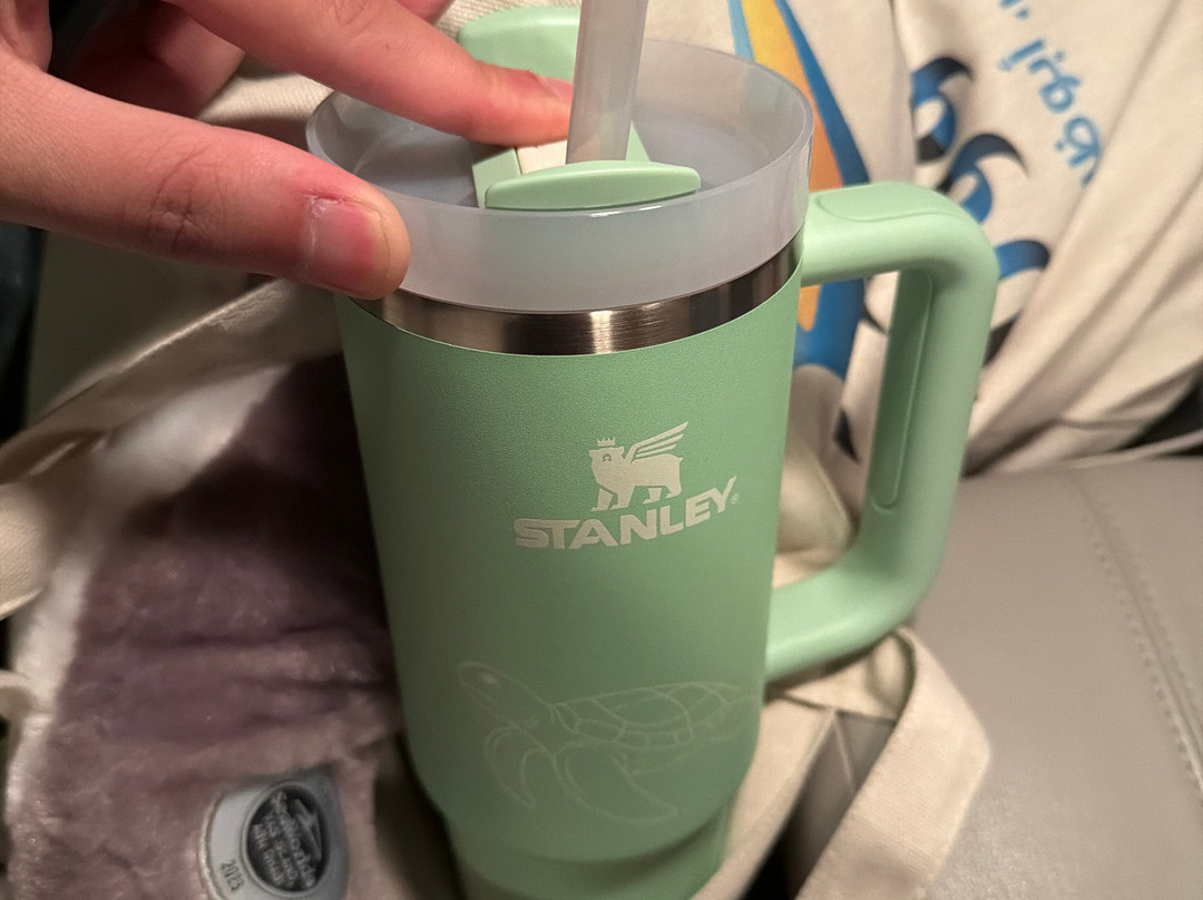 SeaWorld Yas Island Abu Dhabi-阿布扎比必去景点