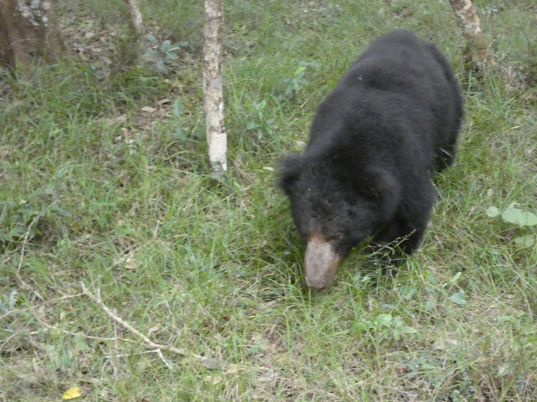 Hansali Reisen-加勒必去景点