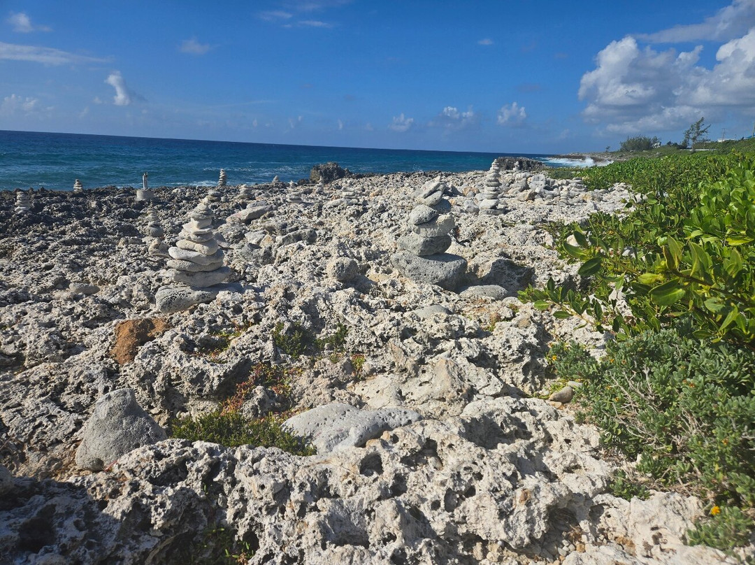 ECO Rides Cayman-East End必去景点