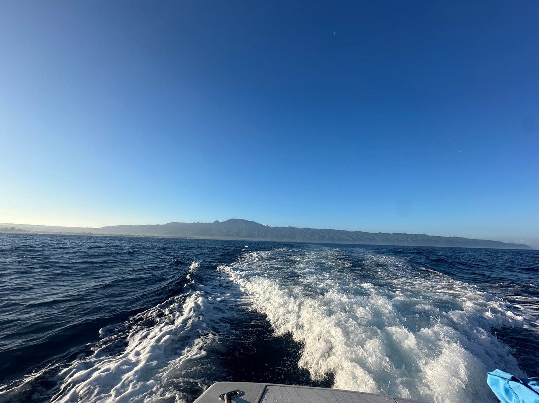 Bob Marlin Charters-哈雷瓦必去景点