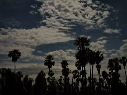 Bañado La Estrella-Las Lomitas必去景点