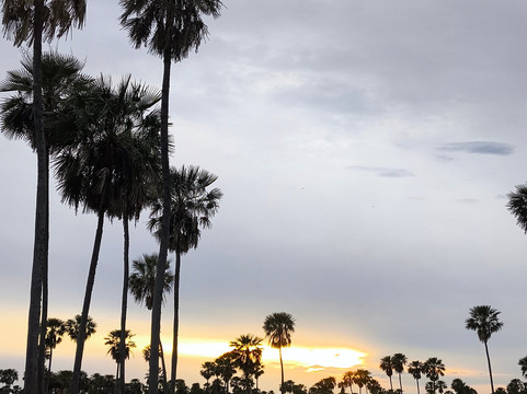 Bañado La Estrella-Las Lomitas必去景点