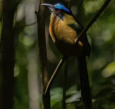 Senderos Chaparral-Villanueva必去景点