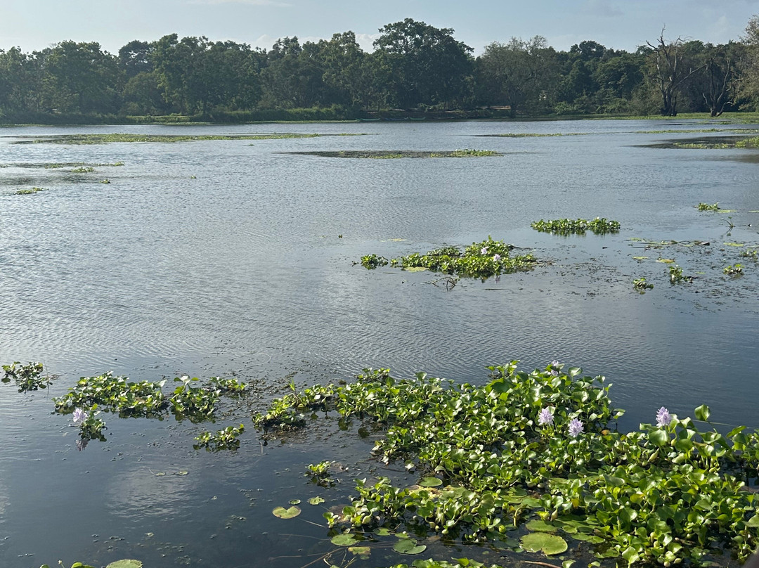 Exotic Island Tours - Private Driver Sri Lanka-Ganemulla必去景点