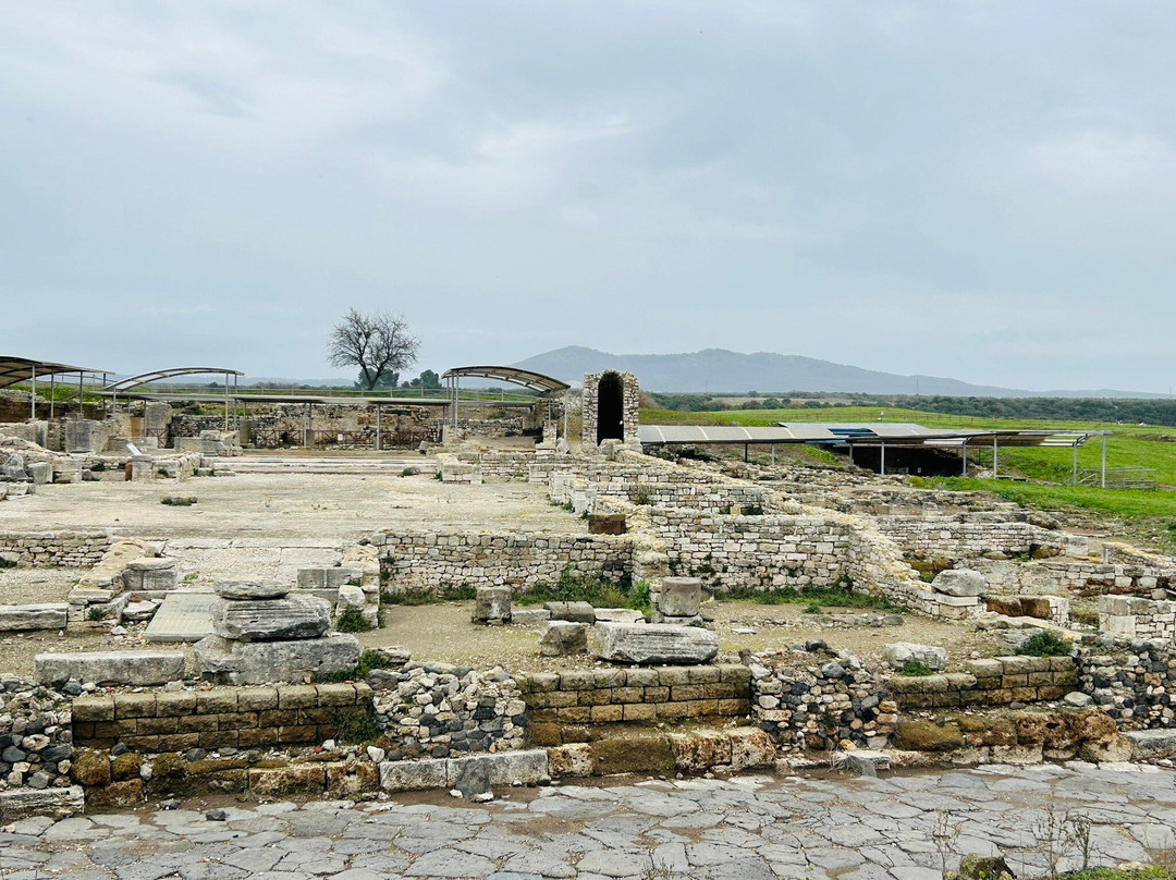 Parco Archeologico Naturalistico di Vulci-Montalto di Castro必去景点