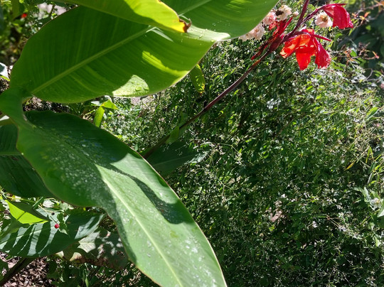 Carolina Egg Gasthaus主图