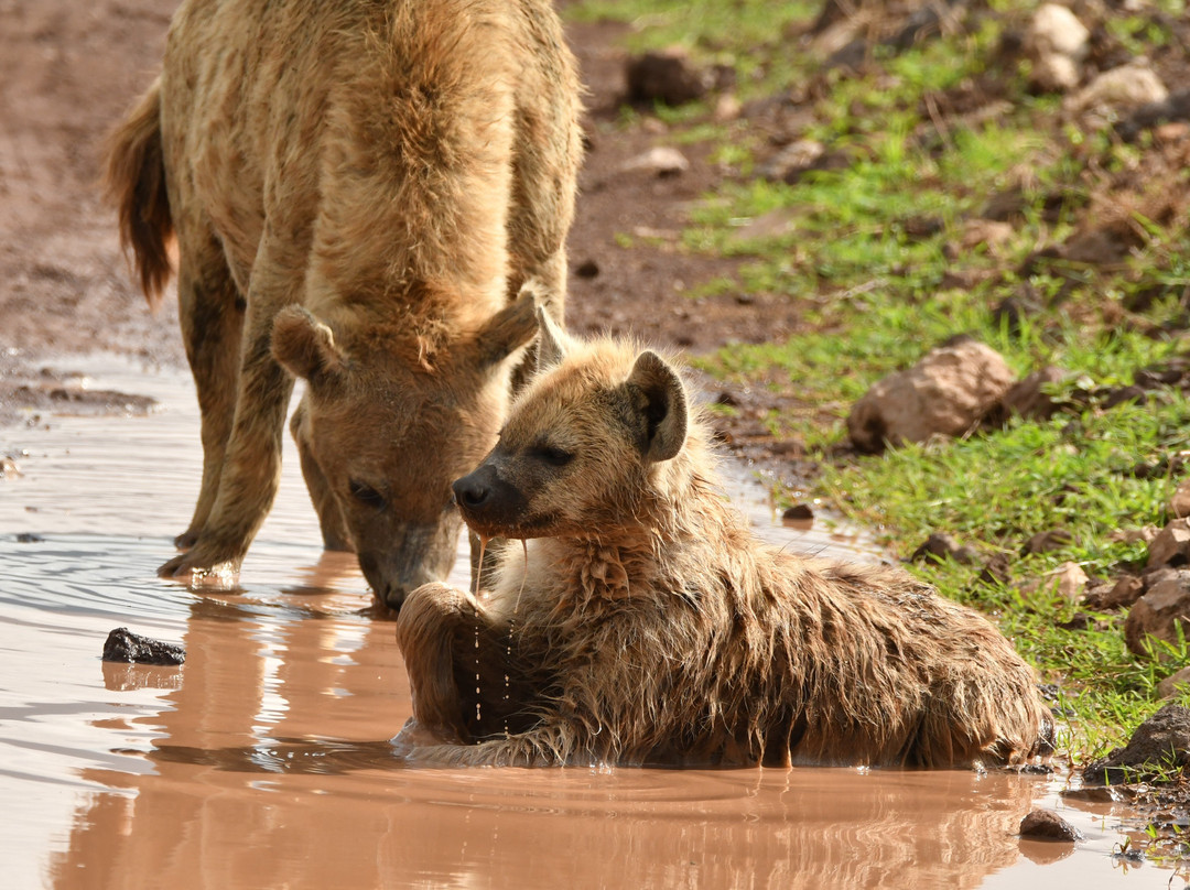 易捷旅游-一日游-阿鲁沙必去景点