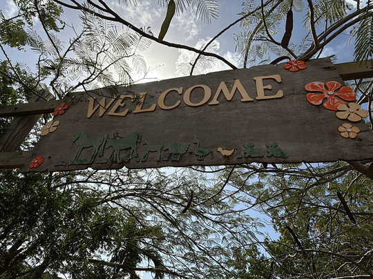 Seaside Nature Park-Sint Maarten必去景点