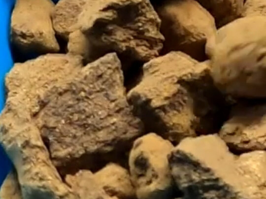 Moulin a Huile de Noix-Martel必去景点