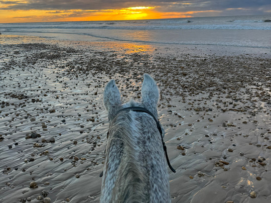 Cheval Essaouira-索维拉必去景点