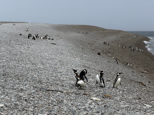 El Pedral-Punta Ninfas必去景点