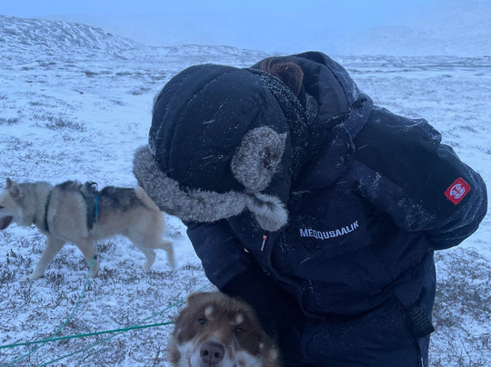 Diskobay Tours-伊卢利萨特必去景点