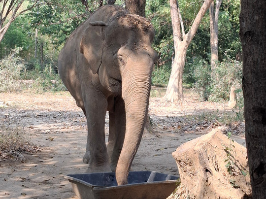 Somboon Legacy Foundation-Klon Do必去景点