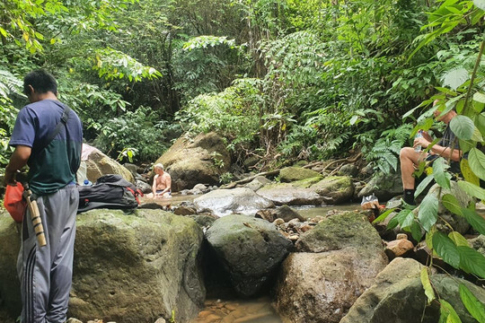 Ujung Kulon Ecotourism-Ujungjaya必去景点