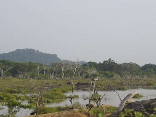 Freedom Safari Jeep Tours-蒂瑟默哈拉默必去景点