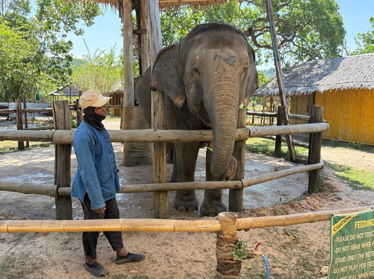 Koh Yao Elephant Beach-阁耀亚伊岛必去景点