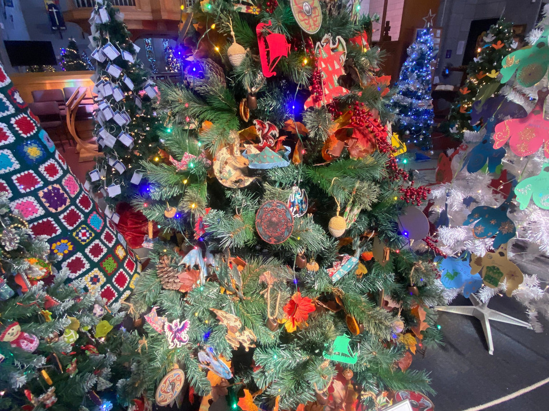 Christ Church Cathedral-尼尔森必去景点