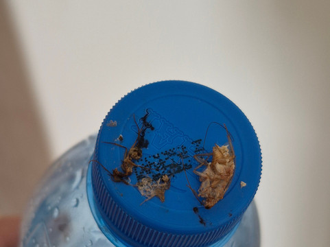 Le Mersenne Zanzibar, Autograph Collection主图