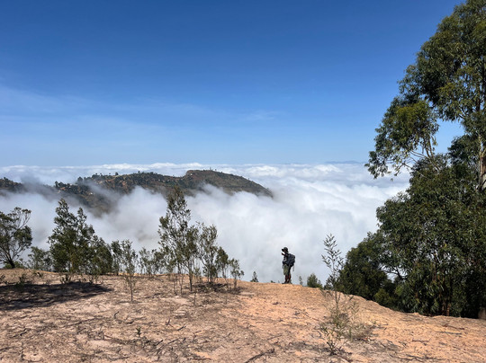 Usambara  Adventures-卢绍托必去景点