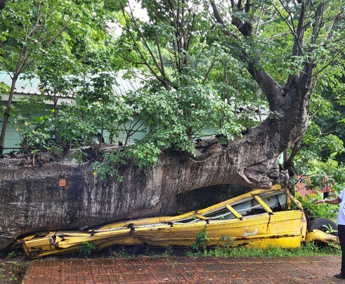 Just Go Dominica-多米尼克必去景点